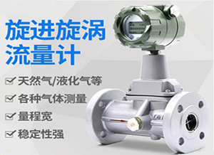 dn125旋進(jìn)旋渦流量計(jì)